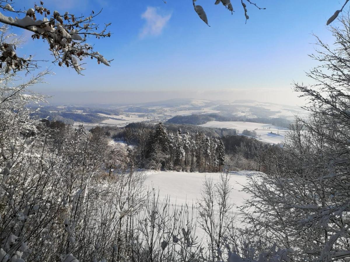 Loft Ueber Dem Bodensee Heiligenborn المظهر الخارجي الصورة