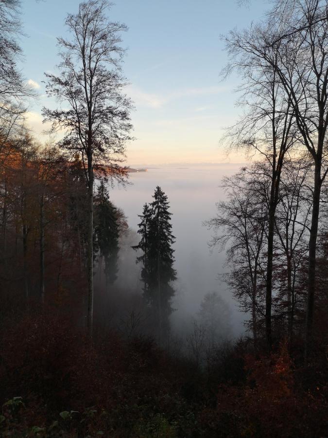 Loft Ueber Dem Bodensee Heiligenborn المظهر الخارجي الصورة
